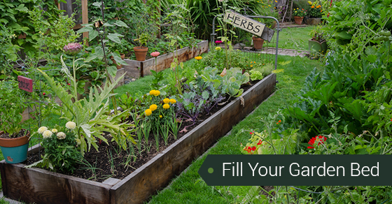 Creative Ways To Fill Your Garden Bed | In The Back Yard